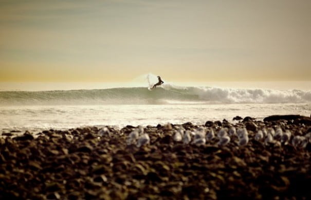surfer
