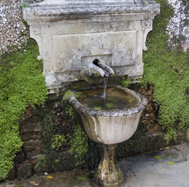 Fuente