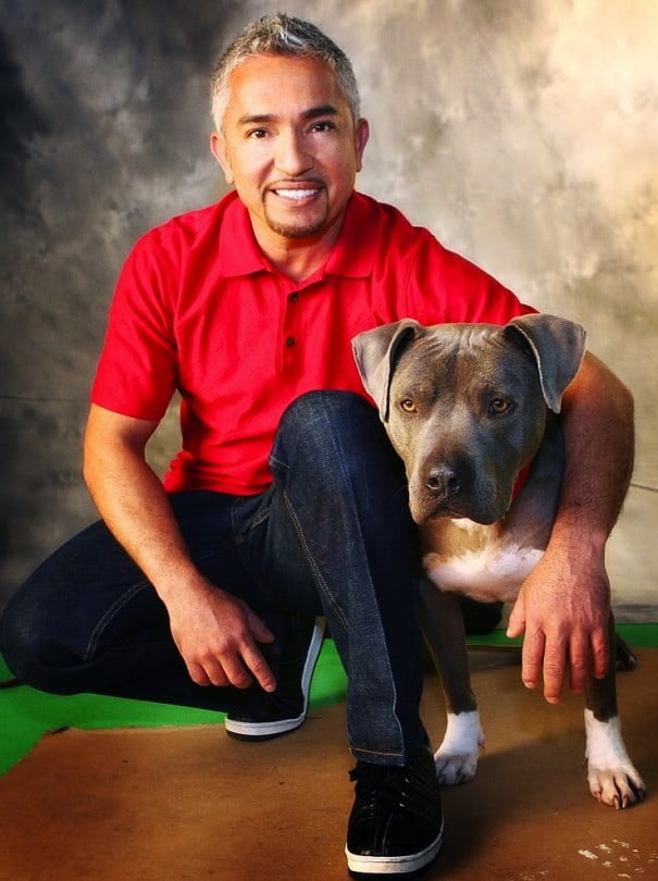 Cesar Millan