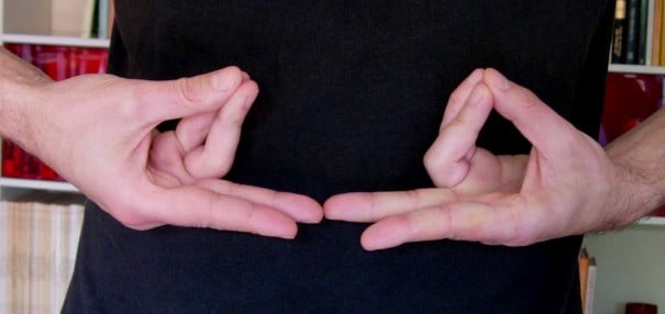 Pran mudra