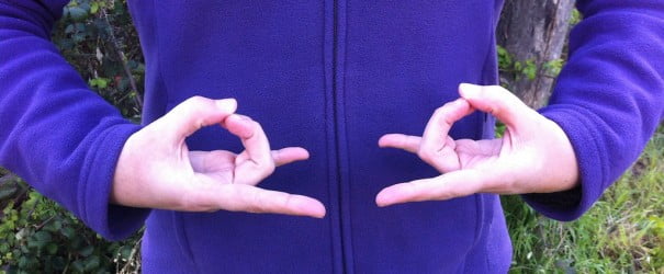 Apan Mudra