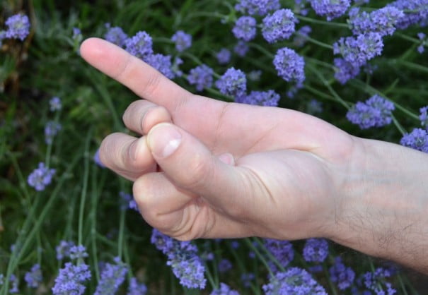 Apan Vayu mudra