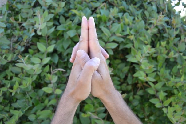 ksepana mudra