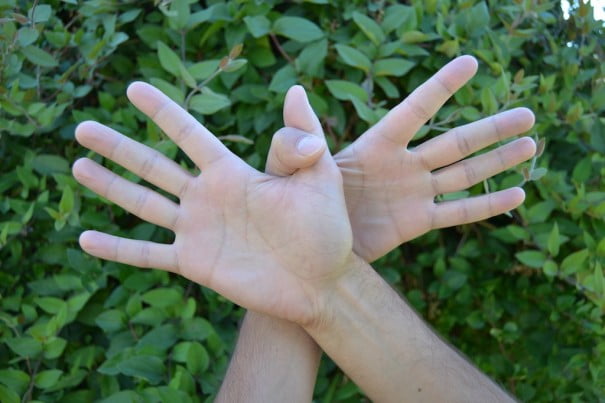 Garuda Mudra