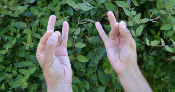 Rudra Mudra