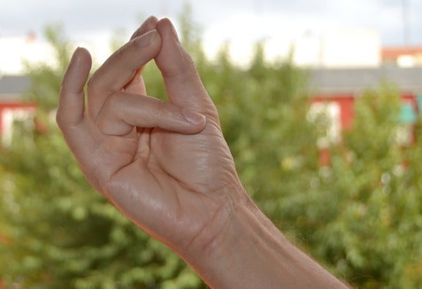 maharsis mudra