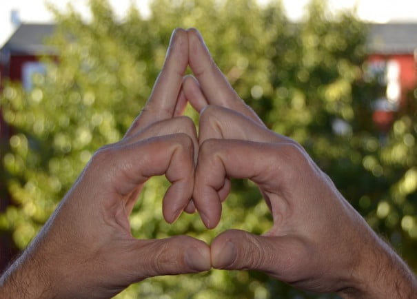 Shakti mudra