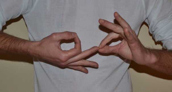 Dharmachakra-mudra