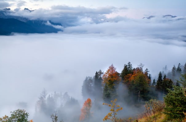 paisaje niebla