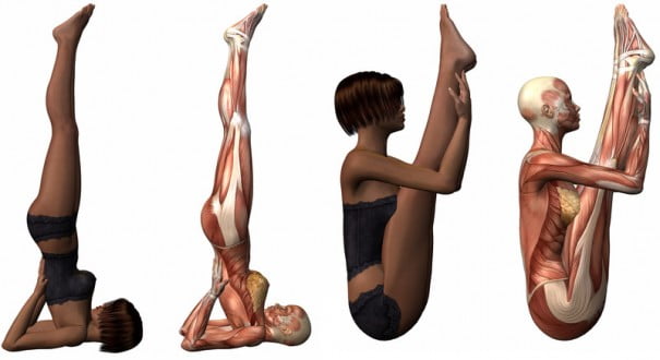 biomecanica hatha yoga
