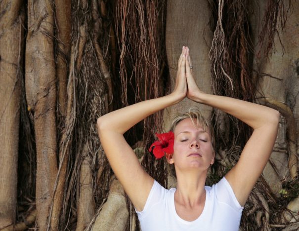 Meditar arbol