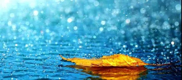Lluvia sintesis