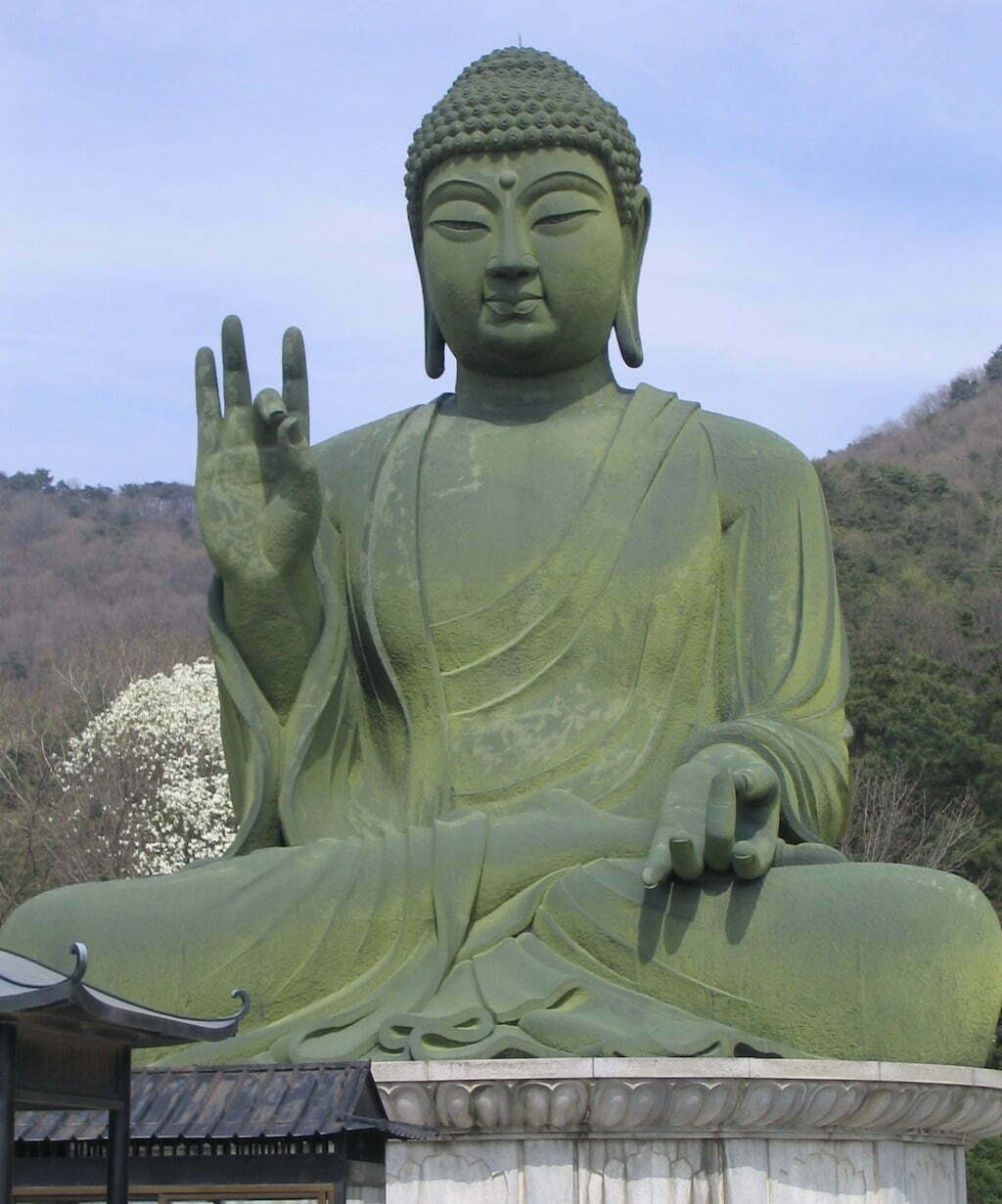 Буда видео. ВАРАДА мудра Будда. Тигр Будда Корея. Витарка мудра Будда. Mount Budha.