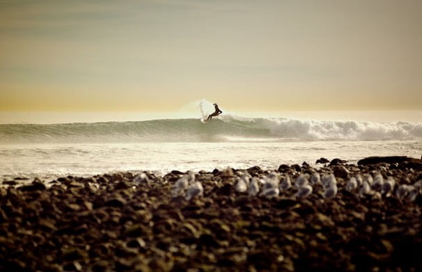 surfer