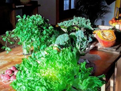 AlimentacionRetiros