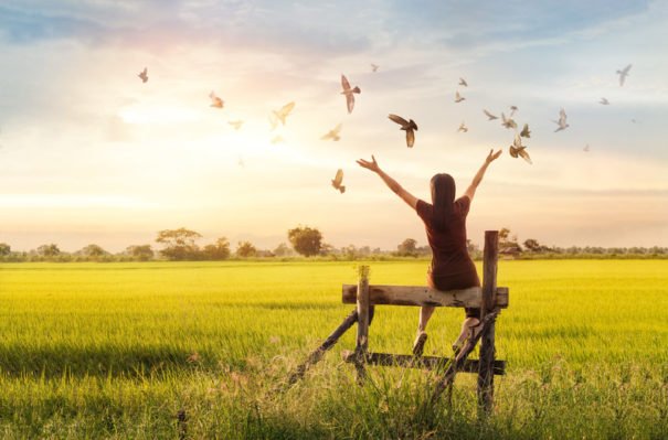 Meditar Pajaro