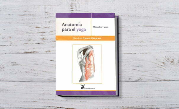 anatomia para el yoga
