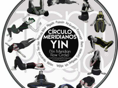 CIRCULO DE FLUJO DE MERIDIANOS YIN 2 copia