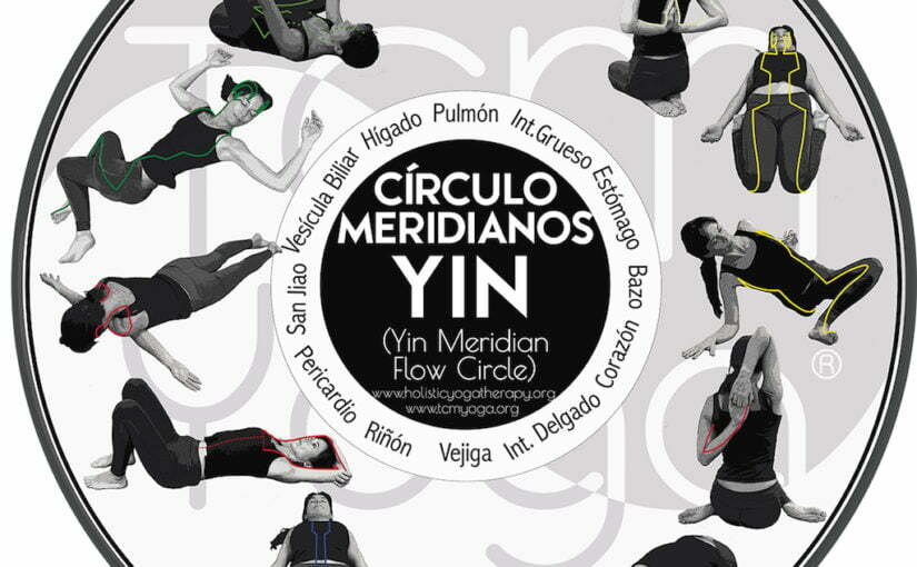 CIRCULO DE FLUJO DE MERIDIANOS YIN 2 copia