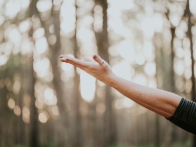 Yoga, Meditación, Mindfulness