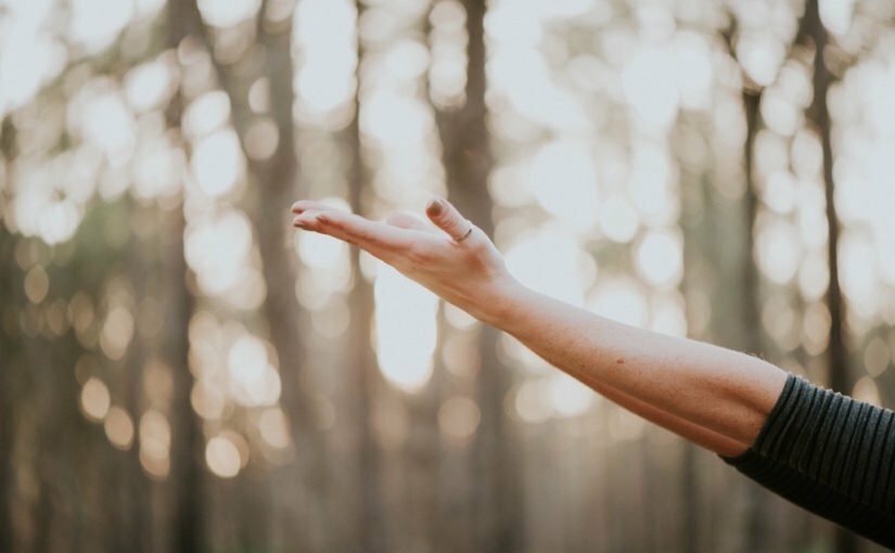 Yoga, Meditación, Mindfulness