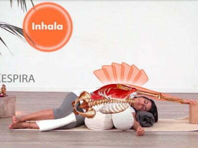 Despliegue Costal YogaenRed