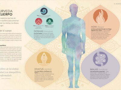 AYURVEDA PRACTICO