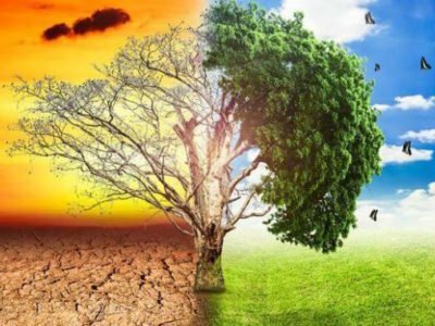 cambio climatico