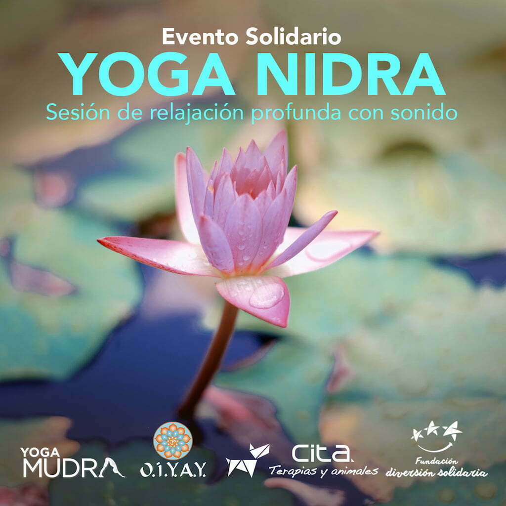 Evento Solidario: Sesión Especial de Yoga Nidra | Yoga en Red