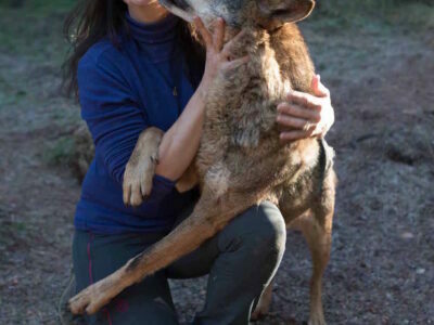 Yoga y lobos