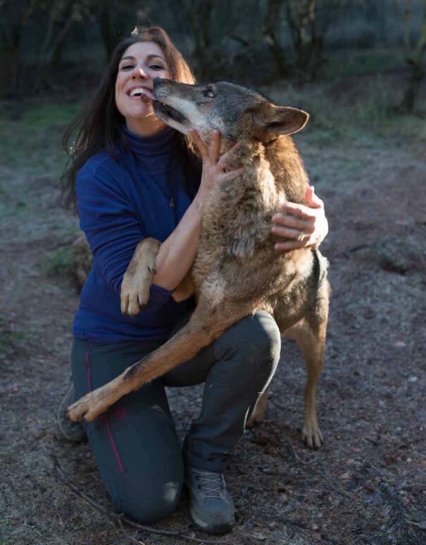 Yoga y lobos