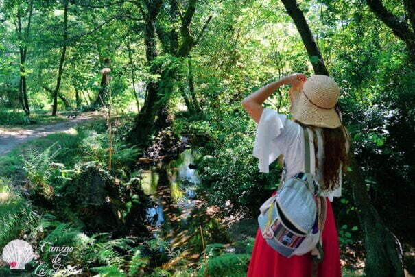 camino