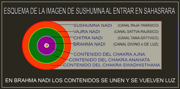 SUSHUMNA