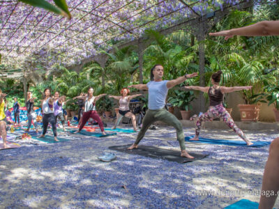 yoga en jardin