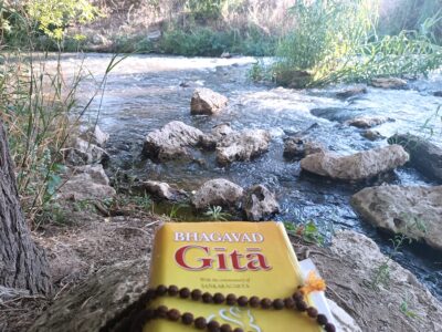 foto Guita rio