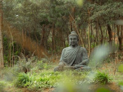 meditación