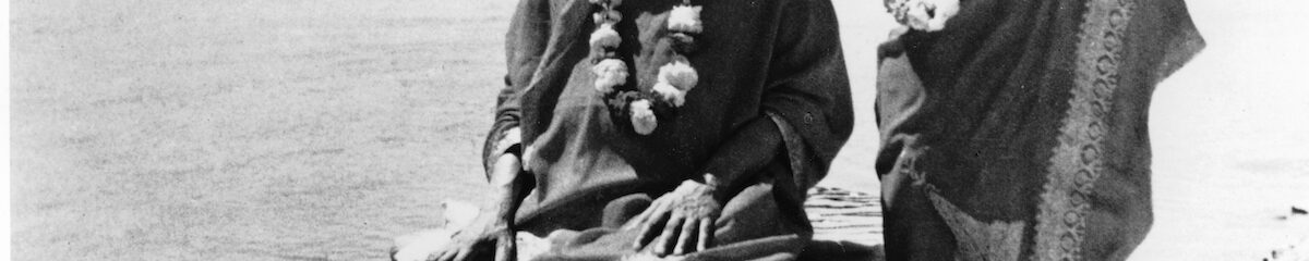 Swami Sivananda Swami Vishnudevananda