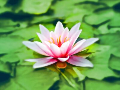 meditación