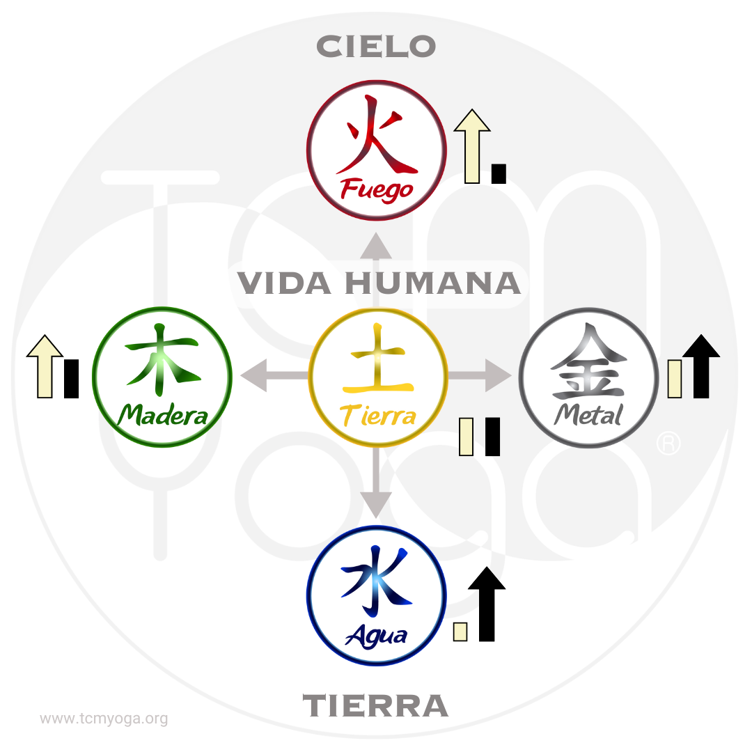 5 Elementos De La Tierra Los 5 Elementos, La Reflexología Y Tú: Un