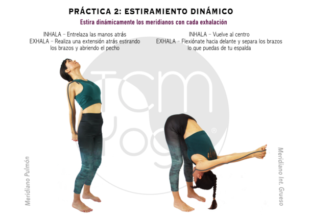 PRACTICA 2 metal fondo blanco