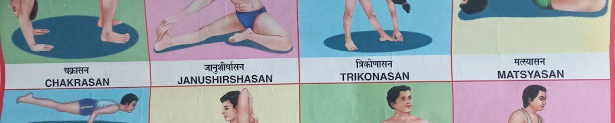 5 principios