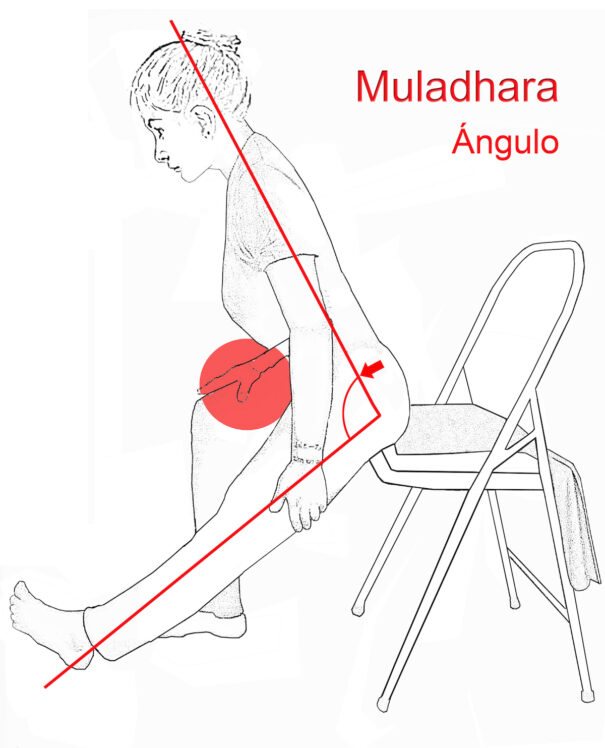 Flexión silla