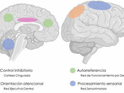 neurociencia