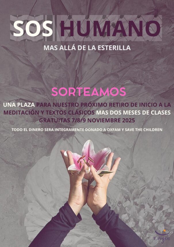 Sorteo solidario de ayuda a Palestina 1 Cartel Hiria