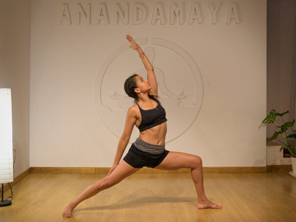 anandamaya