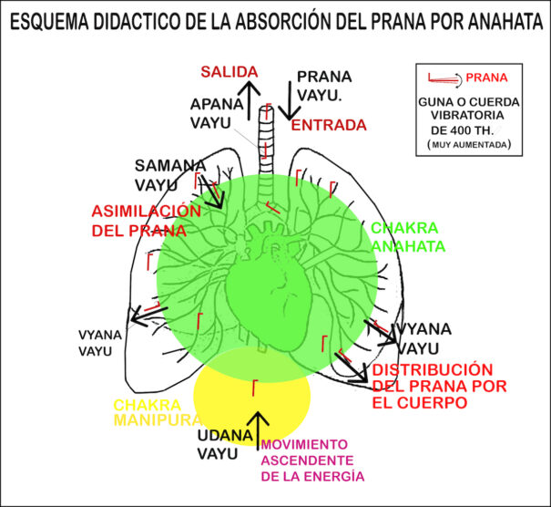 Esquema apertura