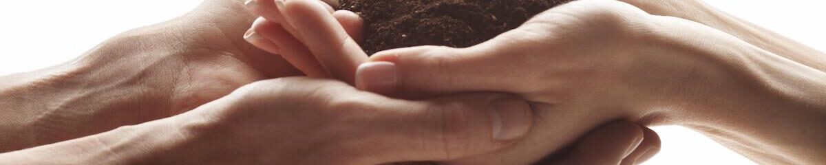 ¿Qué estás sembrando hoy? Reflexiones para una vida con propósito 12 sembrar