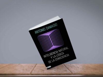 antonio damasio