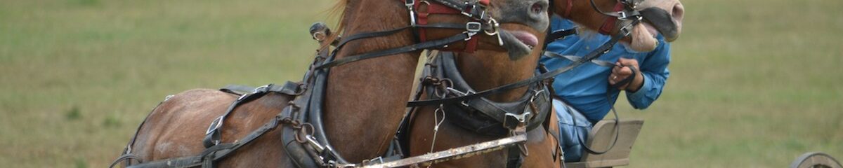 Cuestiones esenciales: Nuestros samskāras llevan las riendas, y no nosotros (1) 6 rutinas