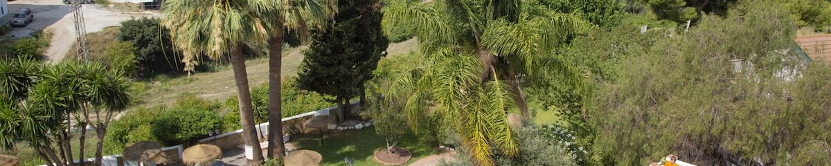 Caminos para la paz y la libertad, con Swami Sivadasananda 1 vistas-pisicna-yoga